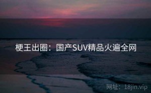 梗王出圈：国产SUV精品火遍全网